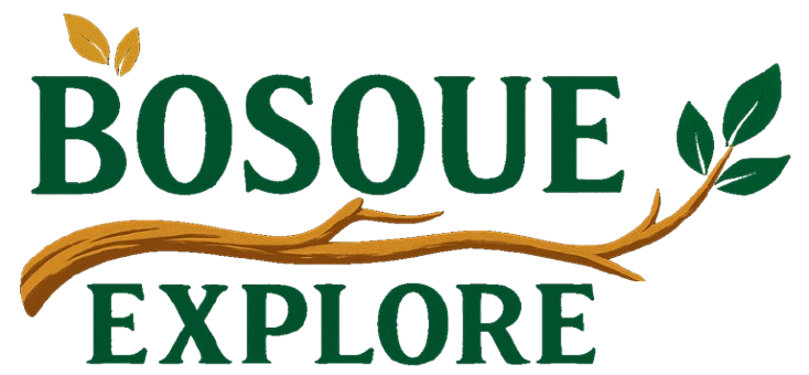 Bosque Explore Logo